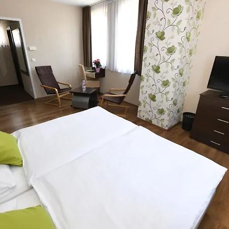 Hotel Ezuesthid